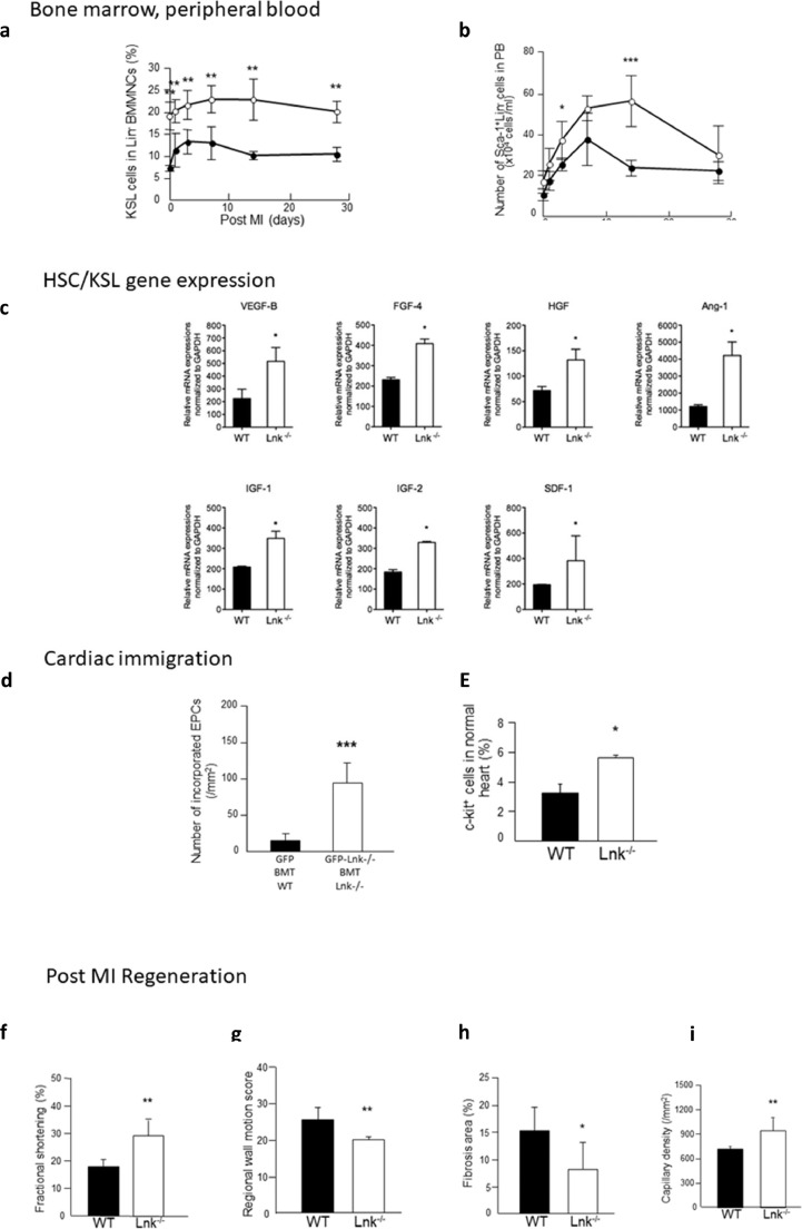 Fig. 6: