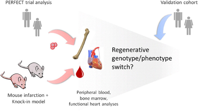 Image, graphical abstract