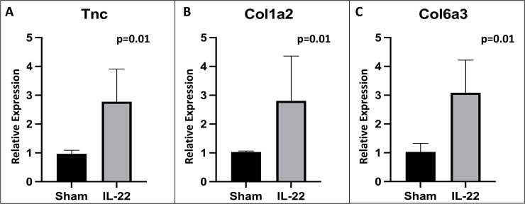 Fig 10