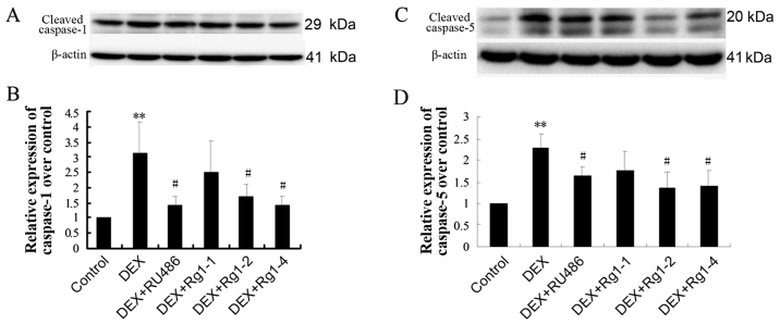 Figure 7