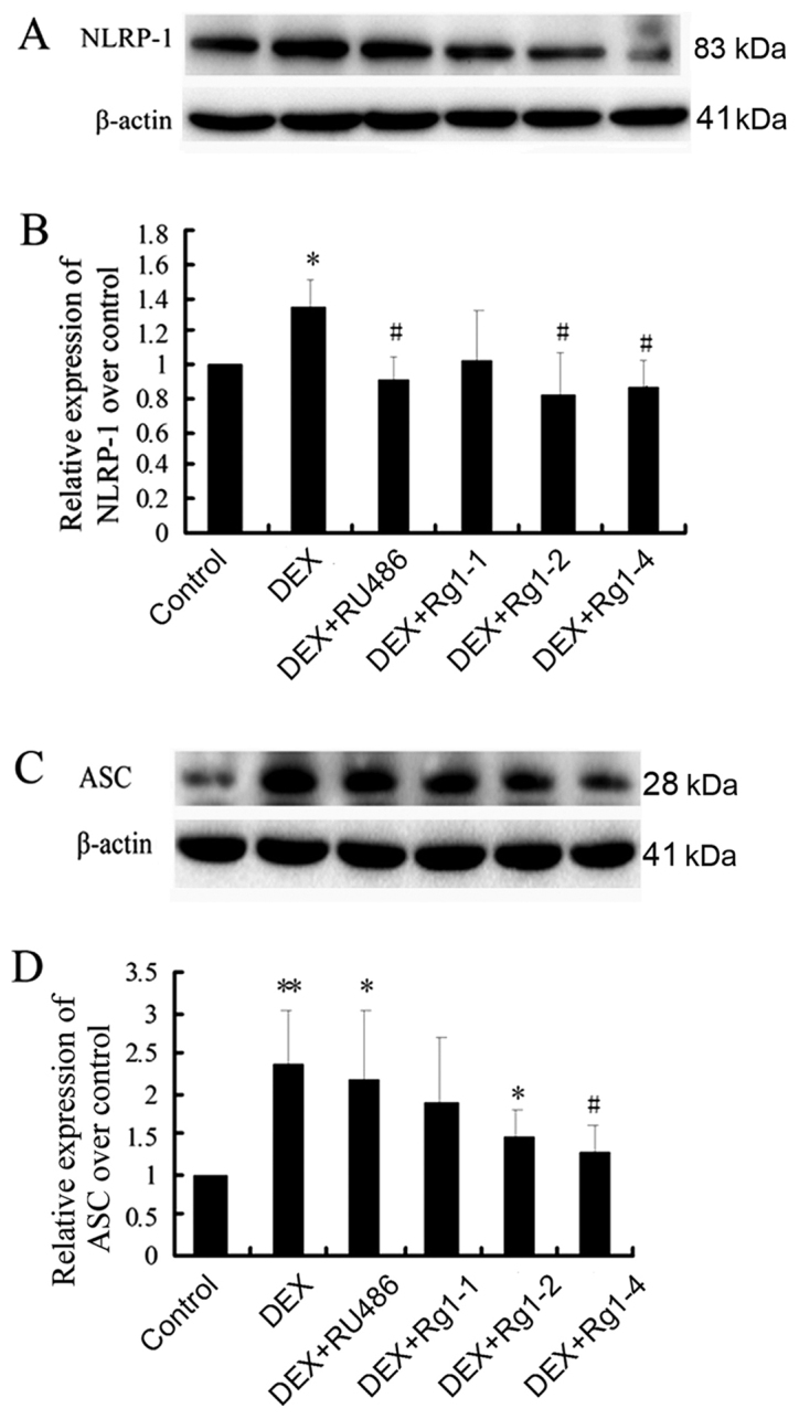 Figure 6