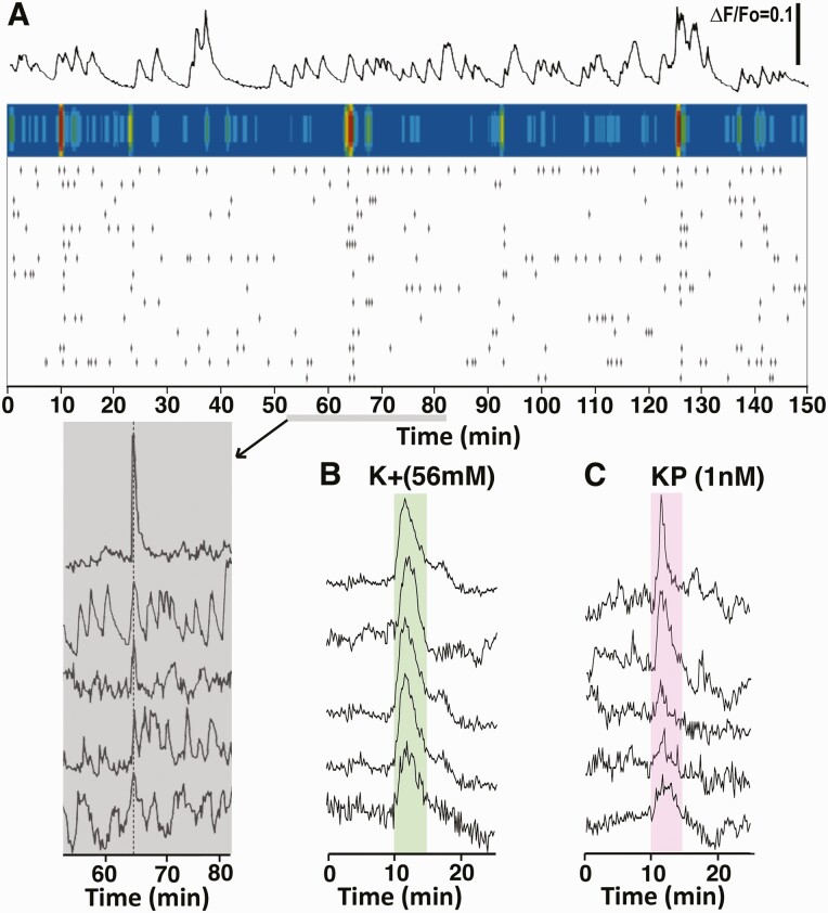 Figure 6.