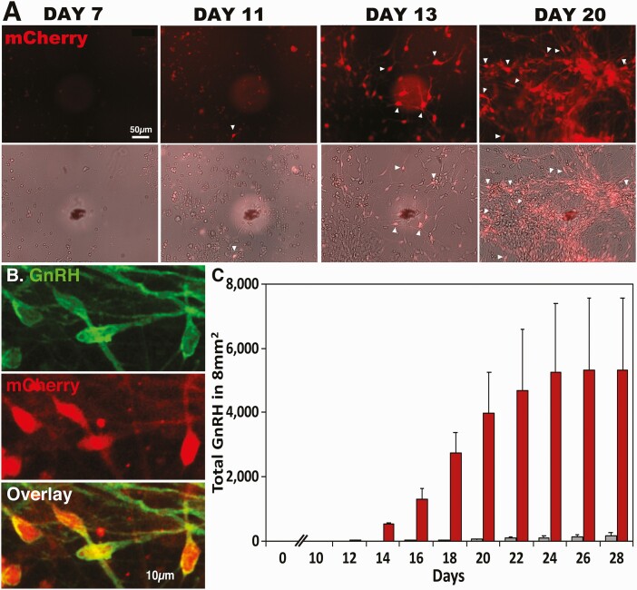 Figure 4.