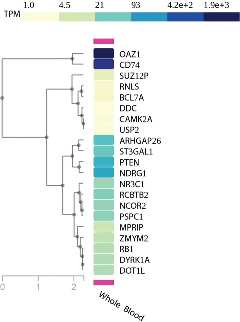 FIGURE 3