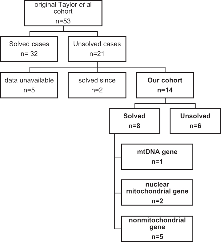 Fig.1