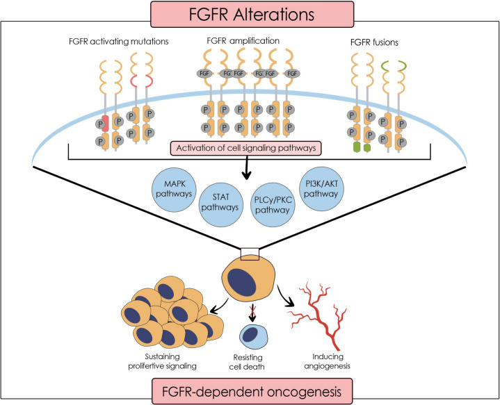 graphic file with name 12029_2025_1214_Figa_HTML.jpg