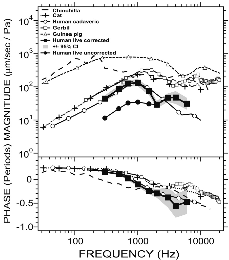 Fig. 10