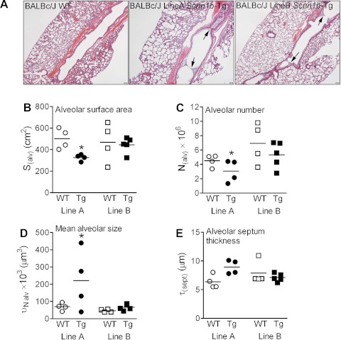 Fig. 10.