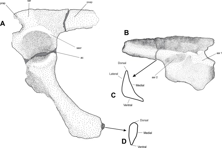 Fig 5