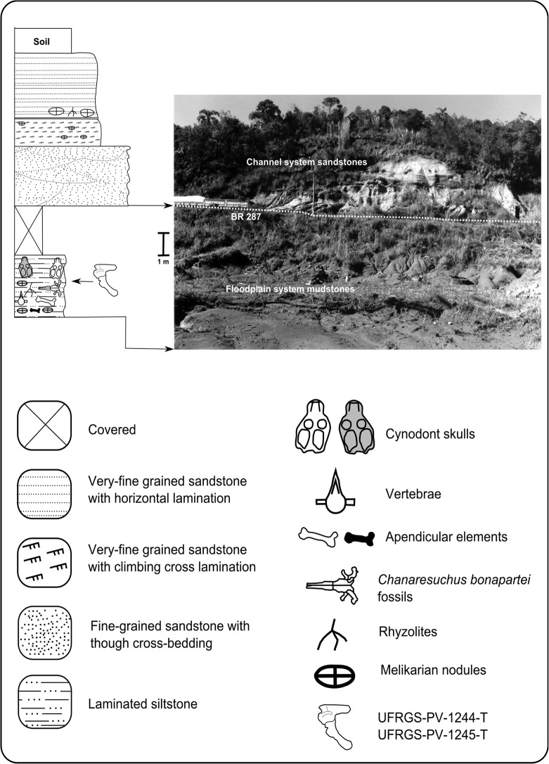 Fig 2