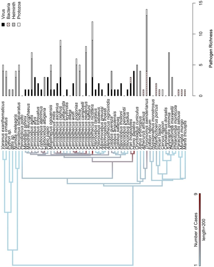 Fig. 4