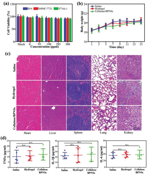 Figure 20