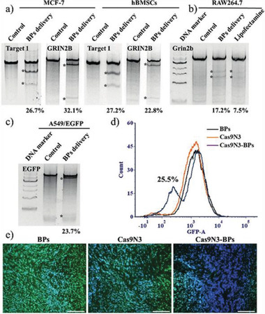 Figure 14