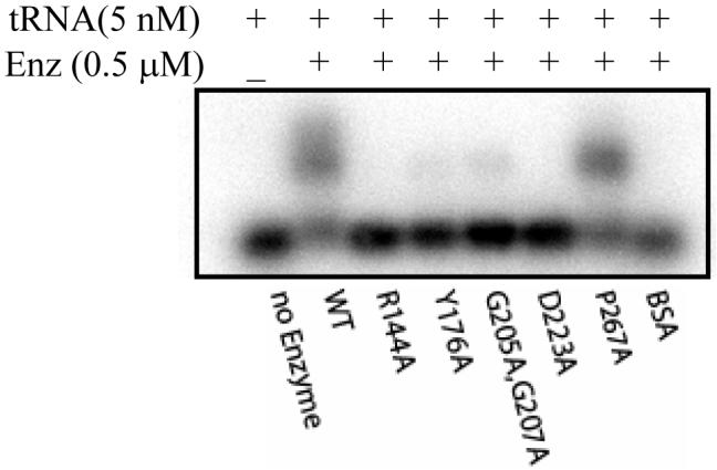 Fig.2