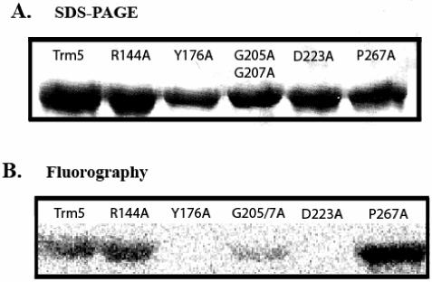 Fig.4