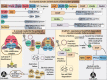 Graphical Abstract