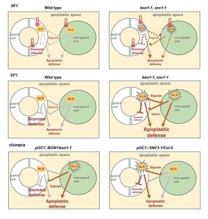 Fig 10