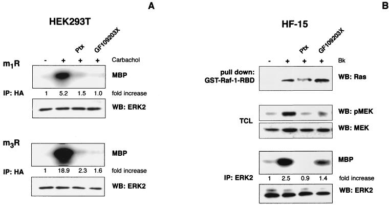 FIG. 5