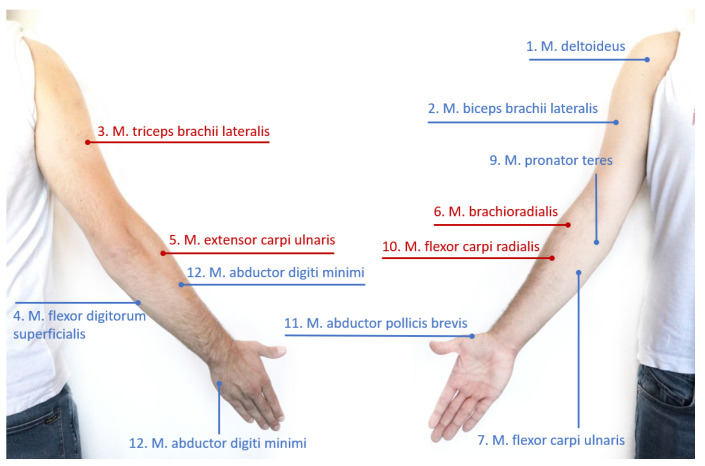 Figure 2