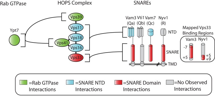 FIGURE 7: