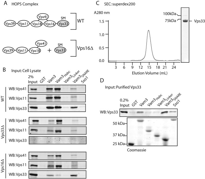 FIGURE 1: