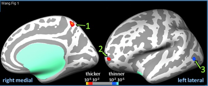 FIG. 1.