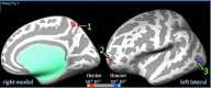 <b>FIG. 1.</b>