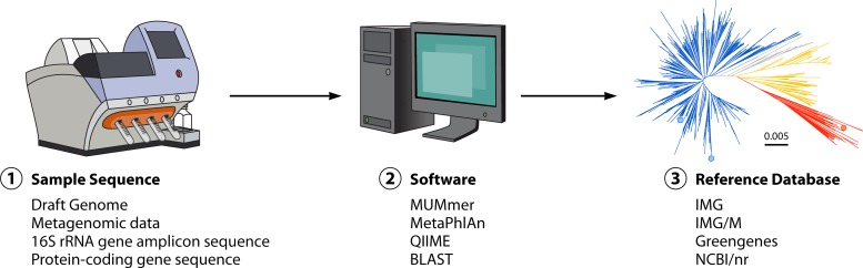 FIG 2