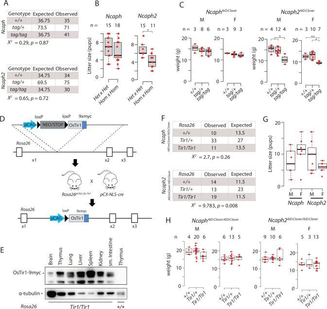 Figure 1—figure supplement 1.