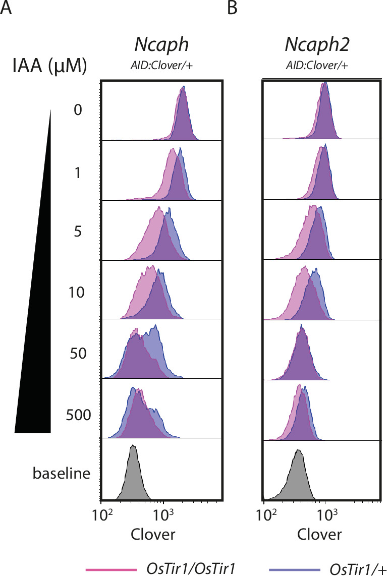 Figure 3—figure supplement 1.