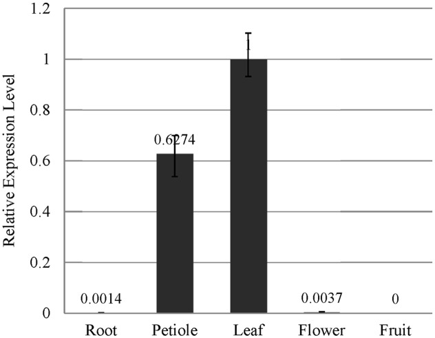 FIGURE 2