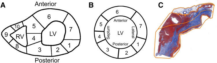 Fig. 2