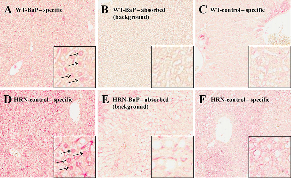 Fig.3.