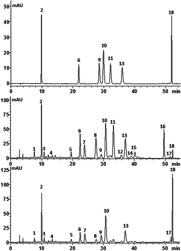 FIGURE 4