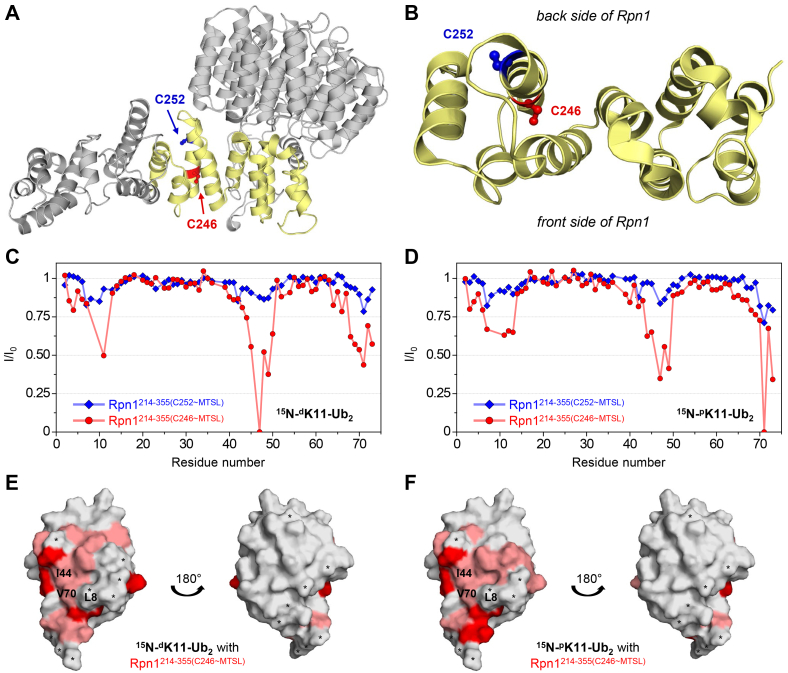 Figure 4