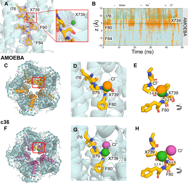 Figure 2: