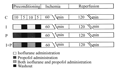 Fig.1