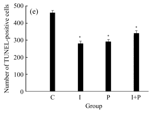 Fig.4