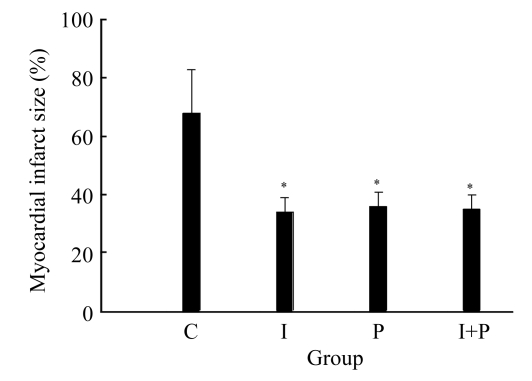 Fig.3