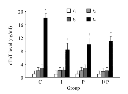 Fig.2