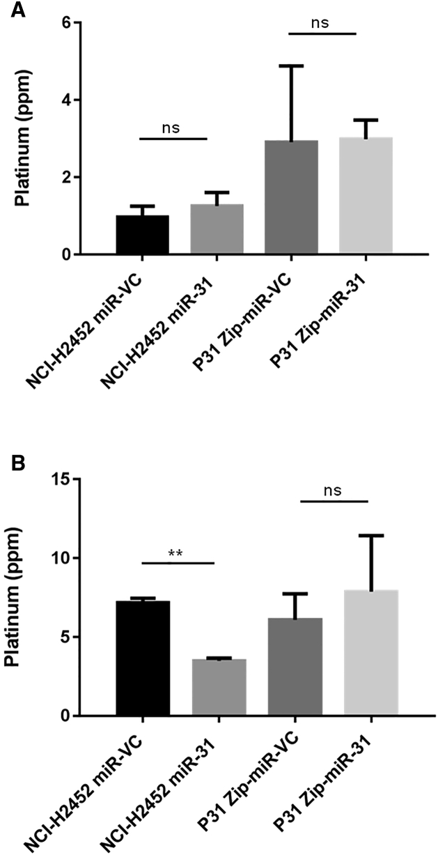 Figure 5