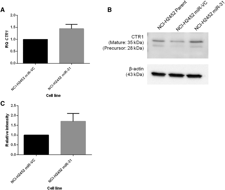 Figure 4