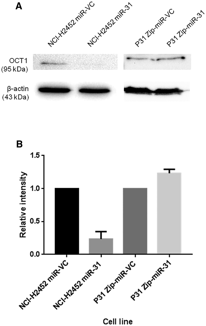 Figure 7