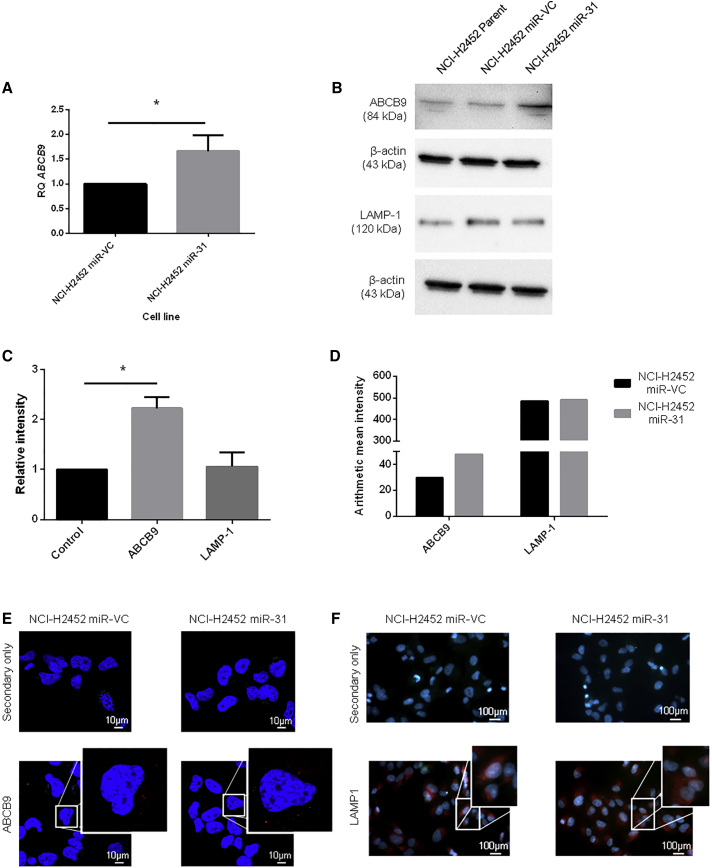 Figure 6