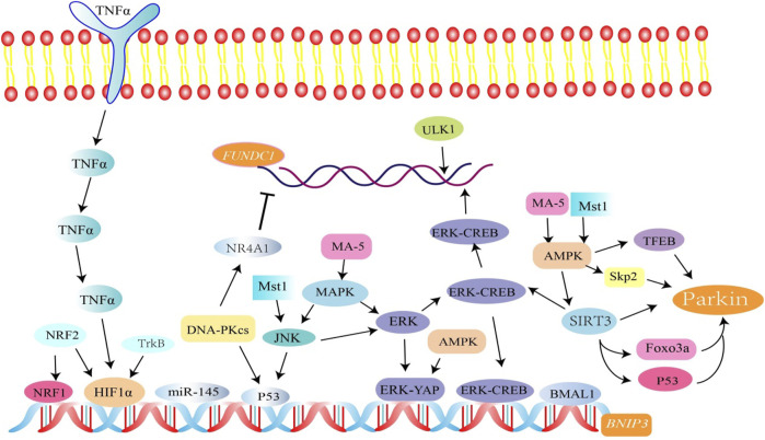 FIGURE 3