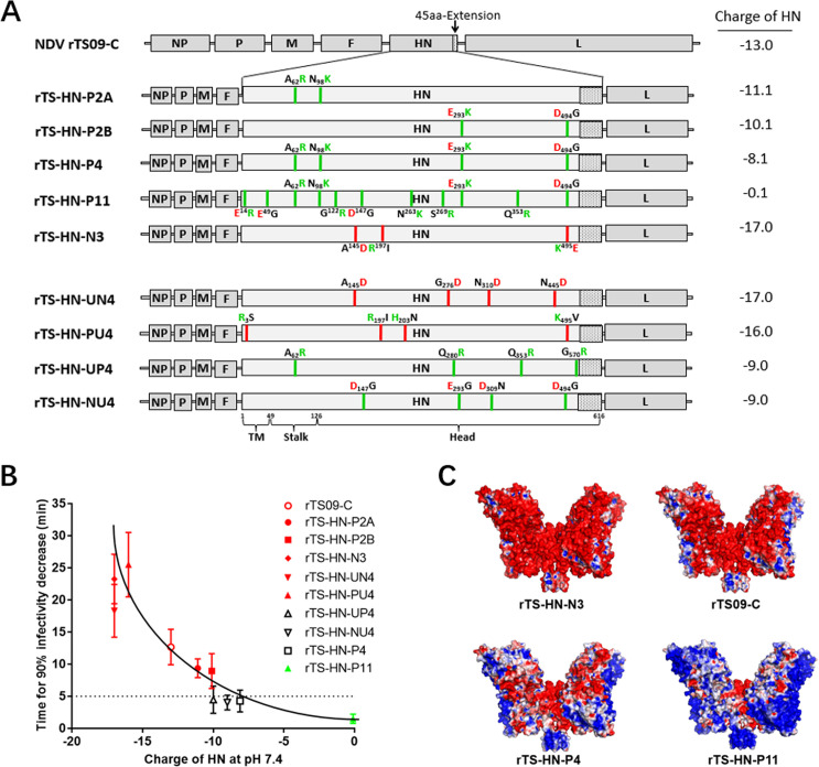 Fig 2