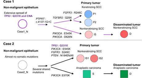 graphic file with name CAS-114-2145-g009.jpg