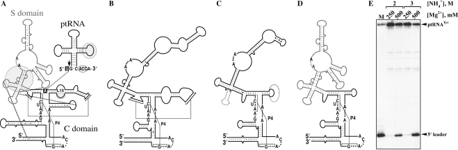 Figure 1.