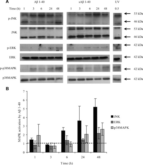 Fig 5