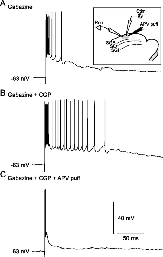 Figure 11.